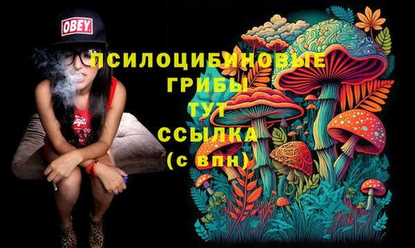 герыч Сосновка