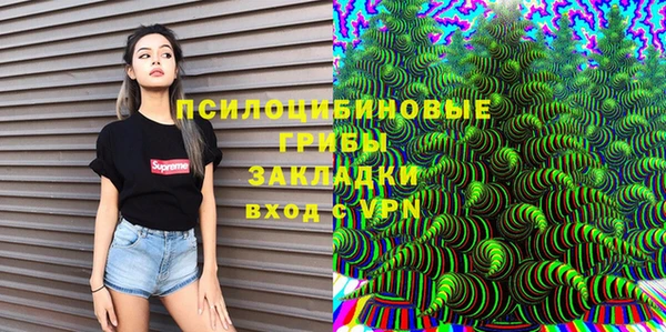 ГАЛЛЮЦИНОГЕННЫЕ ГРИБЫ Красноперекопск