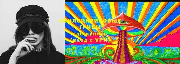 герыч Сосновка
