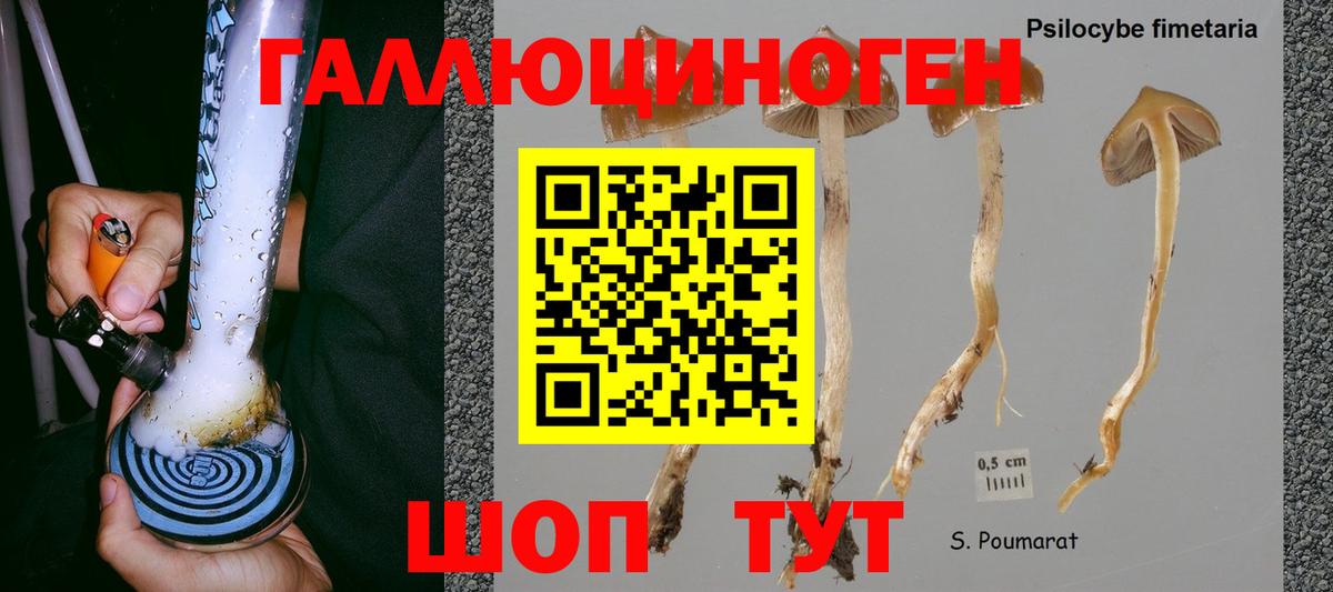 Галлюциногенные грибы GOLDEN TEACHER  Вход с VPN  Галлюциногенные грибы Psilocybe  Электрогорск 